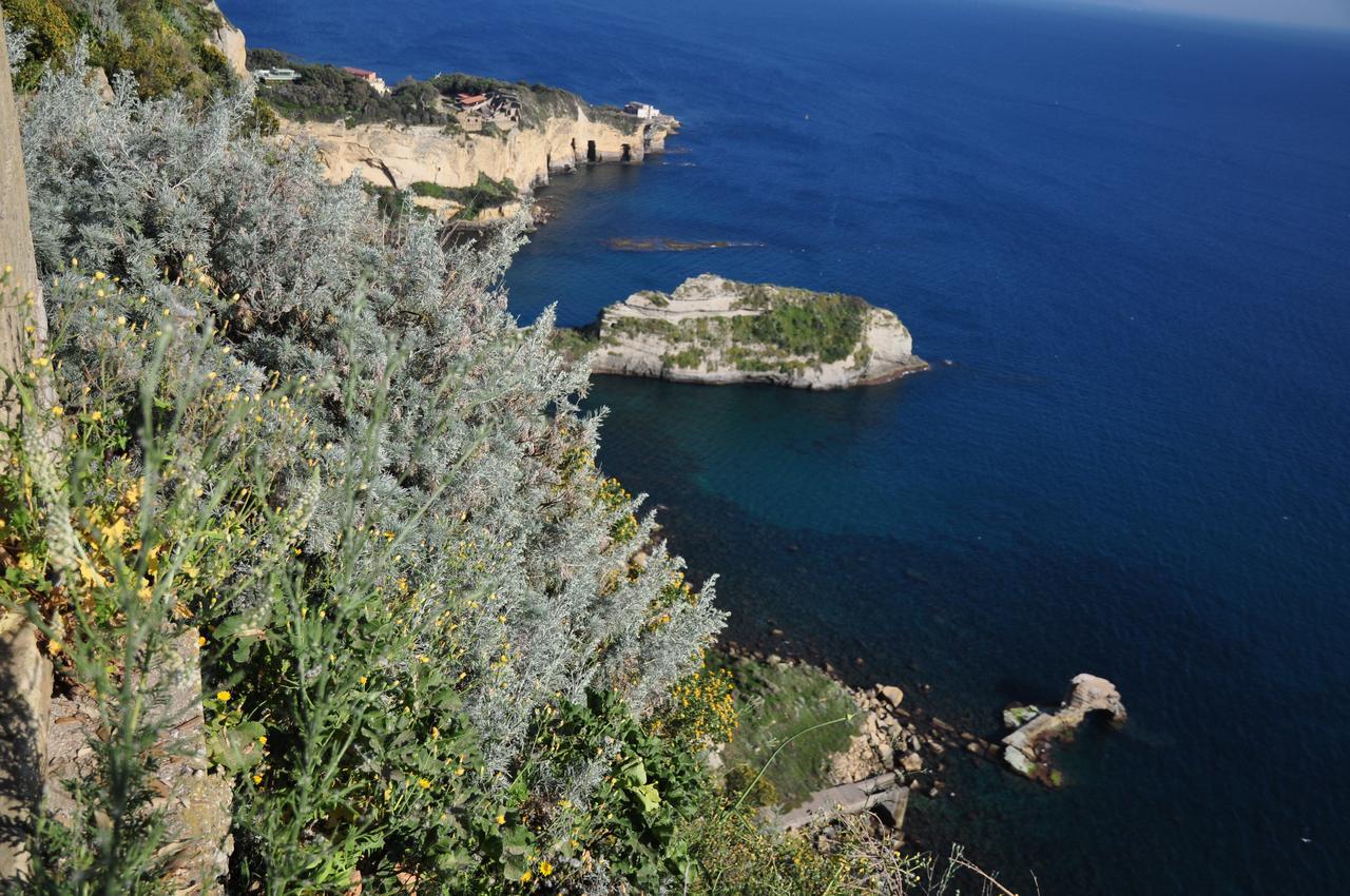 Residenza Le Rose Villa D'Arte Napoli Dış mekan fotoğraf